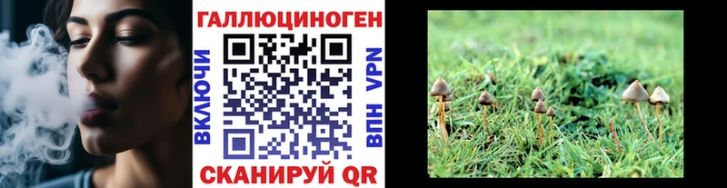 Галлюциногенные грибы мухоморы  Артёмовский 